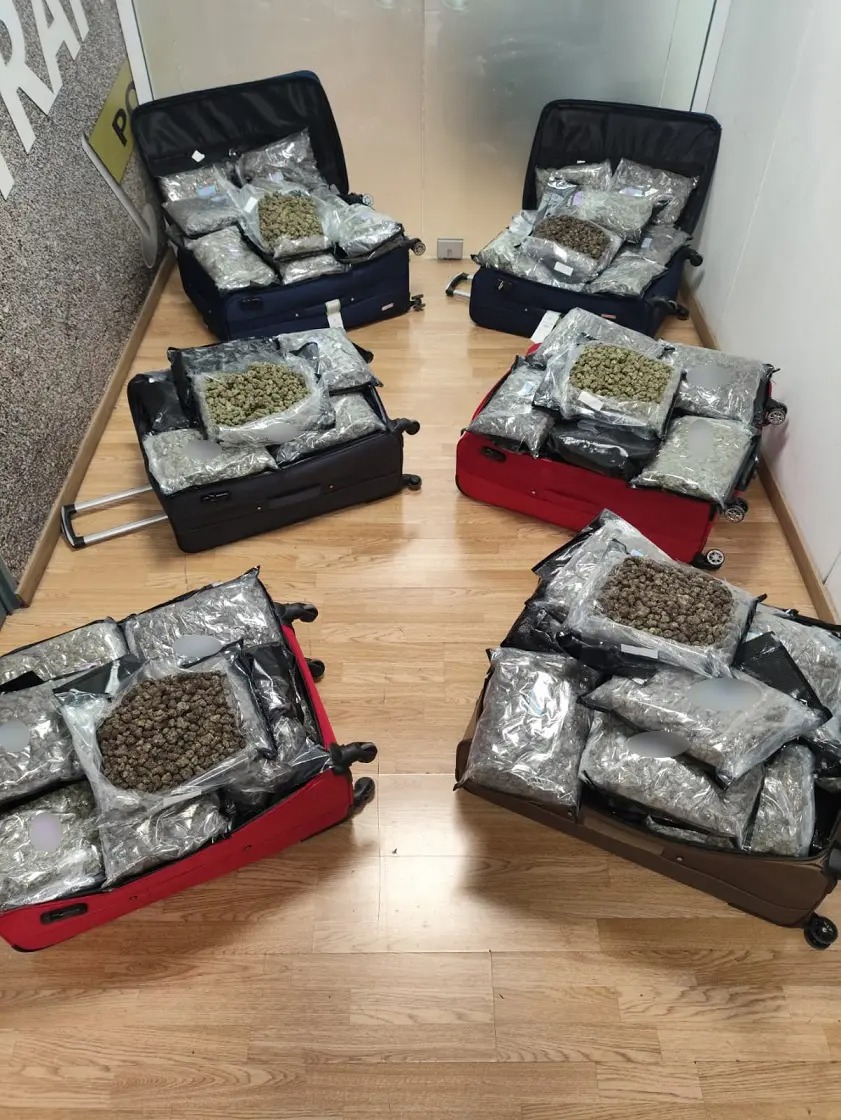 Τα ναρκωτικά που κατασχέθηκαν 