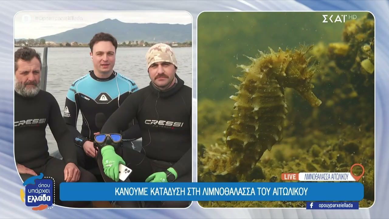 kanoyme-katadysi-sti-limnothalassa-toy-aitolikoy