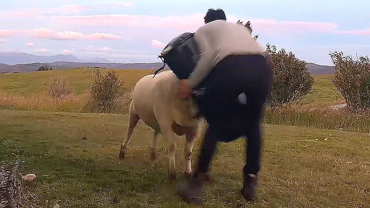 kriari-apogeionei-ton-anthropo-toy-me-mia-kefalia-1767773684