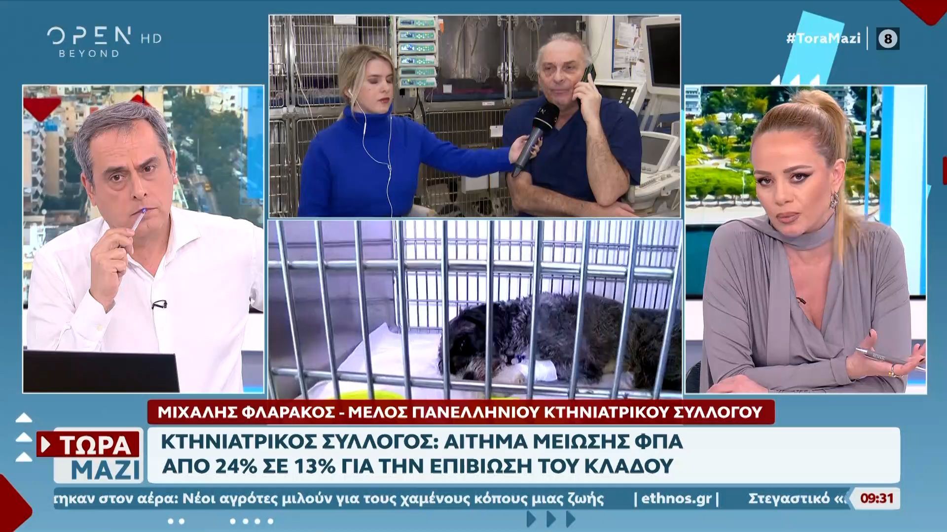 Κτηνίατροι σε απόγνωση: O ΦΠΑ γίνεται «θηλιά» για τον κλάδο