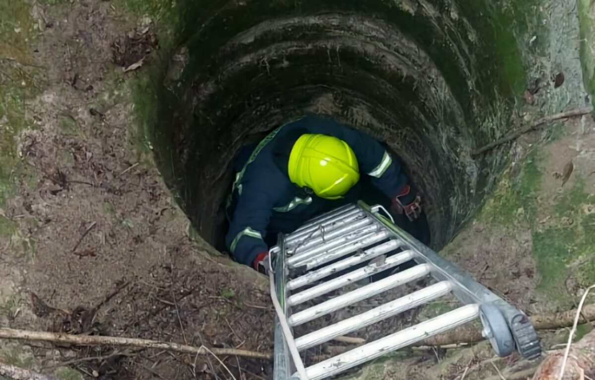 Λάρισα: Πυροσβέστες διέσωσαν σκύλο από πηγάδι βάθους 7 μέτρων
