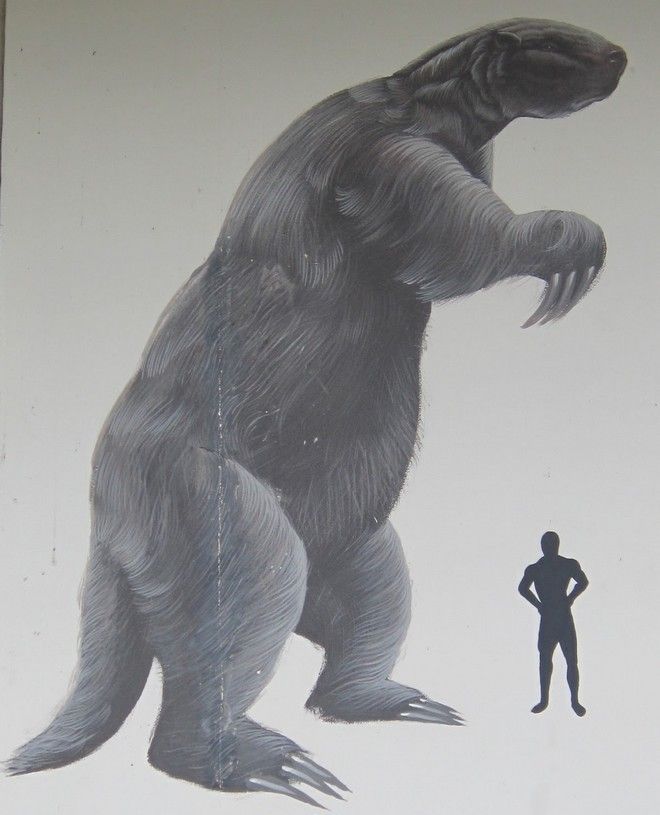 Τα πιο φοβερά προϊστορικά τέρατα δεν ήταν δεινόσαυροι! (φωτό)