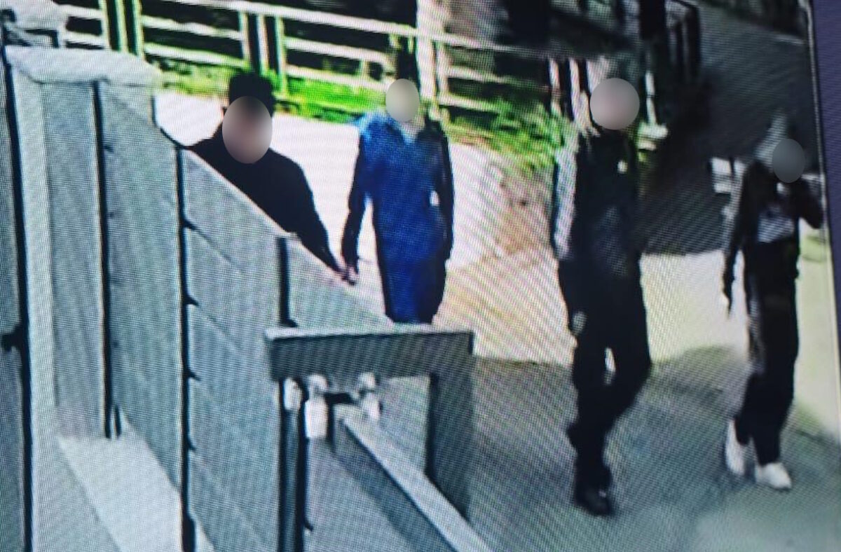 Χανιά: Βίντεο με τη συμμορία ανηλίκων που έκλεβε μηχανάκια – «Βούτηξαν» 27 δίκυκλα σε δύο μήνες