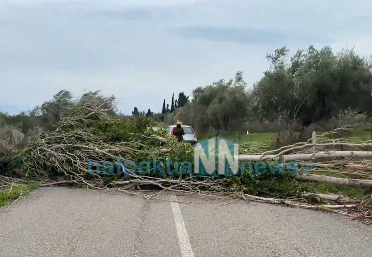 Καιρός: Ισχυροί άνεμοι έπληξαν τη Δυτική Ελλάδα – Ξεριζωμένα δέντρα και περιορισμοί στη Γέφυρα Ρίου – Αντιρρίου