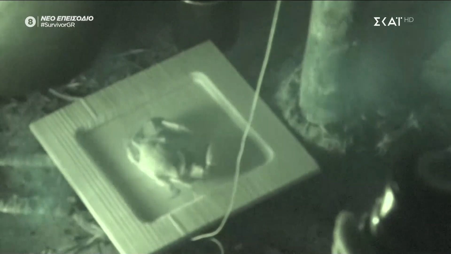 Ο Αθηναίοι μοιράζονται κάβουρα: «Ό,τι πιο νόστιμο έχουμε φάει»