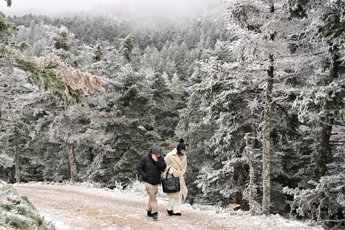 Σαγηνευτικές εικόνες από χιόνια στην Πάρνηθα – Κάτοικοι χαίρονται το τοπίο στο λευκό καταφύγιο Μπάφι 6 πάρνηθα