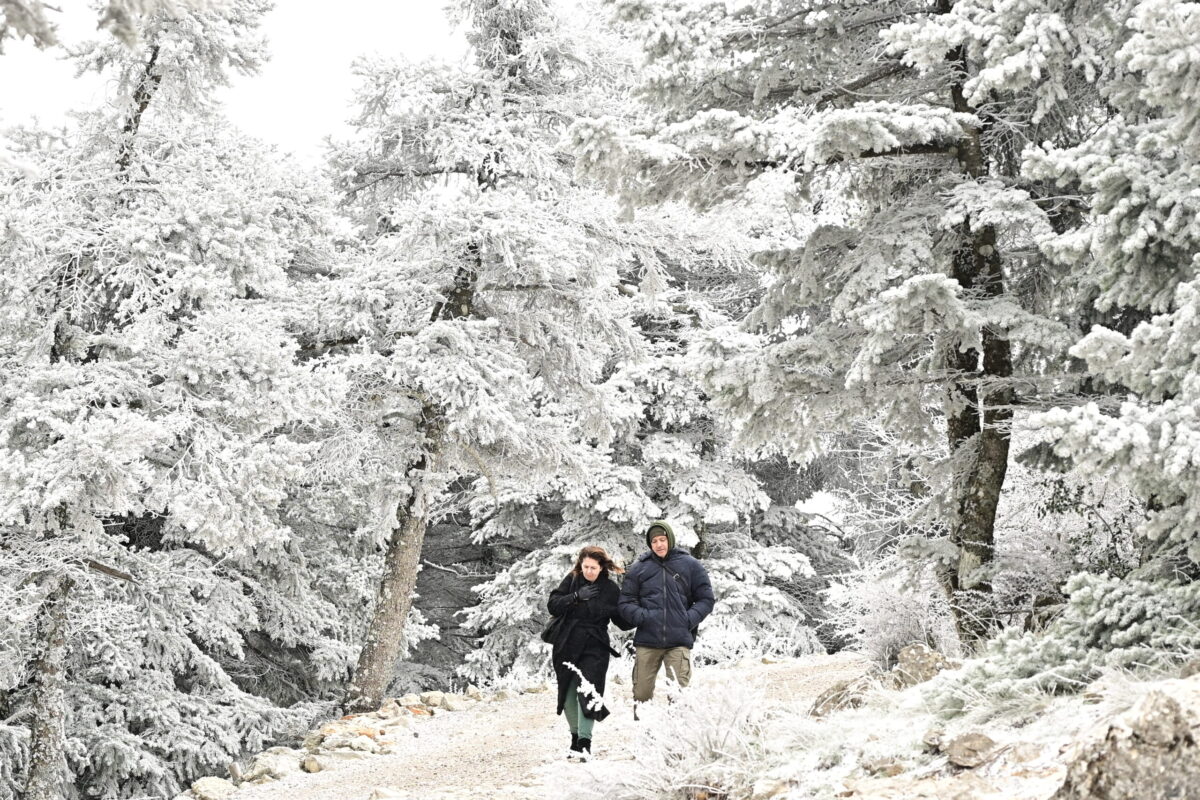 Σαγηνευτικές εικόνες από χιόνια στην Πάρνηθα – Κάτοικοι χαίρονται το τοπίο στο λευκό καταφύγιο Μπάφι 7 πάρνηθα