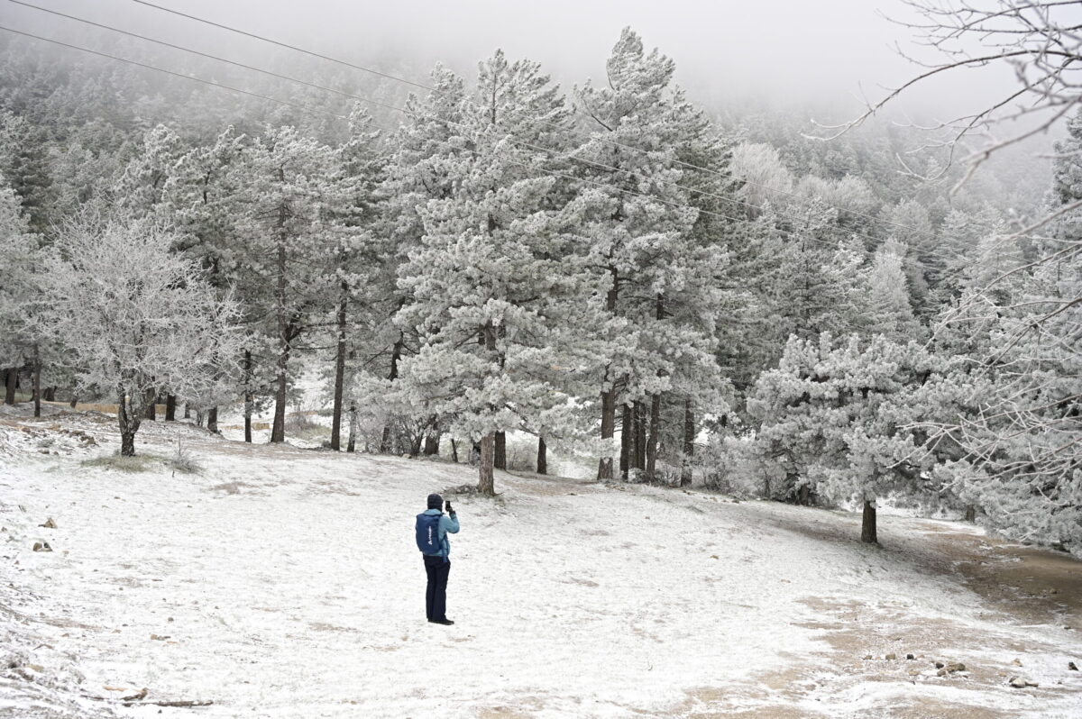 Σαγηνευτικές εικόνες από χιόνια στην Πάρνηθα – Κάτοικοι χαίρονται το τοπίο στο λευκό καταφύγιο Μπάφι 8 πάρνηθα