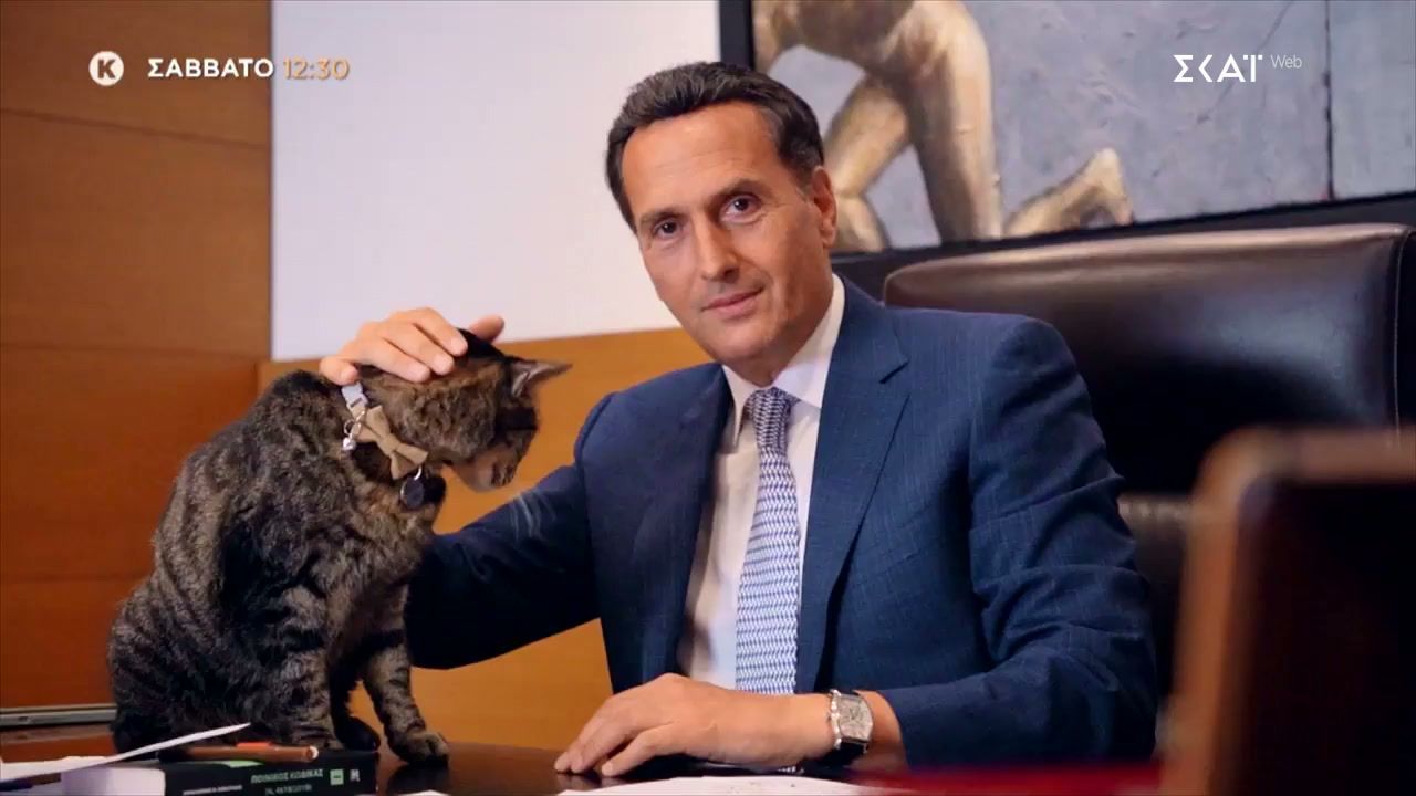 pet-stories-michalis-dimitrakopoylos-trailer-17012026-1768043900