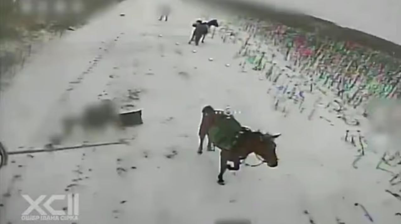 Βίντεο: Ουκρανικό drone χτυπά Ρώσο στρατιώτη σε άλογο – Σύγχρονα όπλα εναντίον παραδοσιακών τακτικών