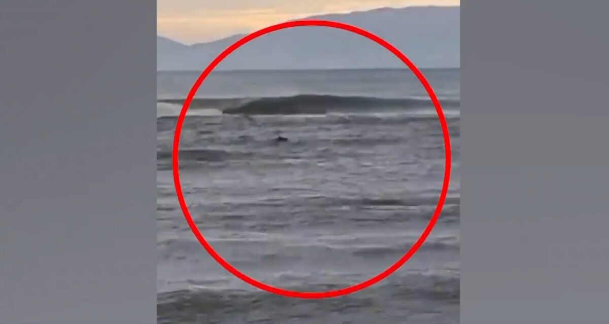 strymonas-09012026-1200x639