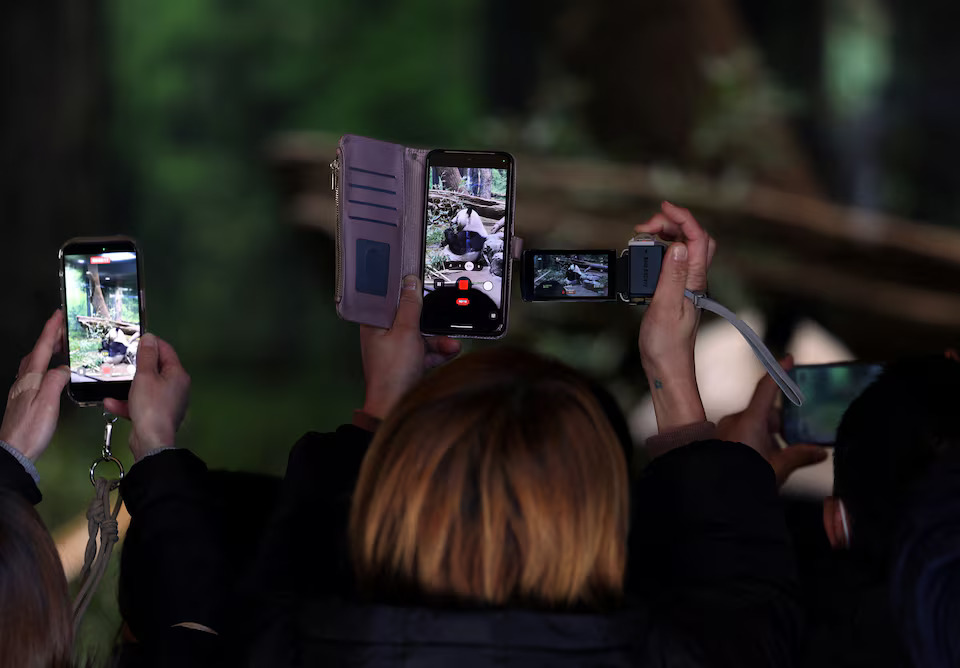 Ιαπωνία: Πρώτη φορά από το 1972 χωρίς πάντα – Συρροή κόσμου για να αποχαιρετήσουν τα τελευταία πριν επιστραφούν στην Κίνα