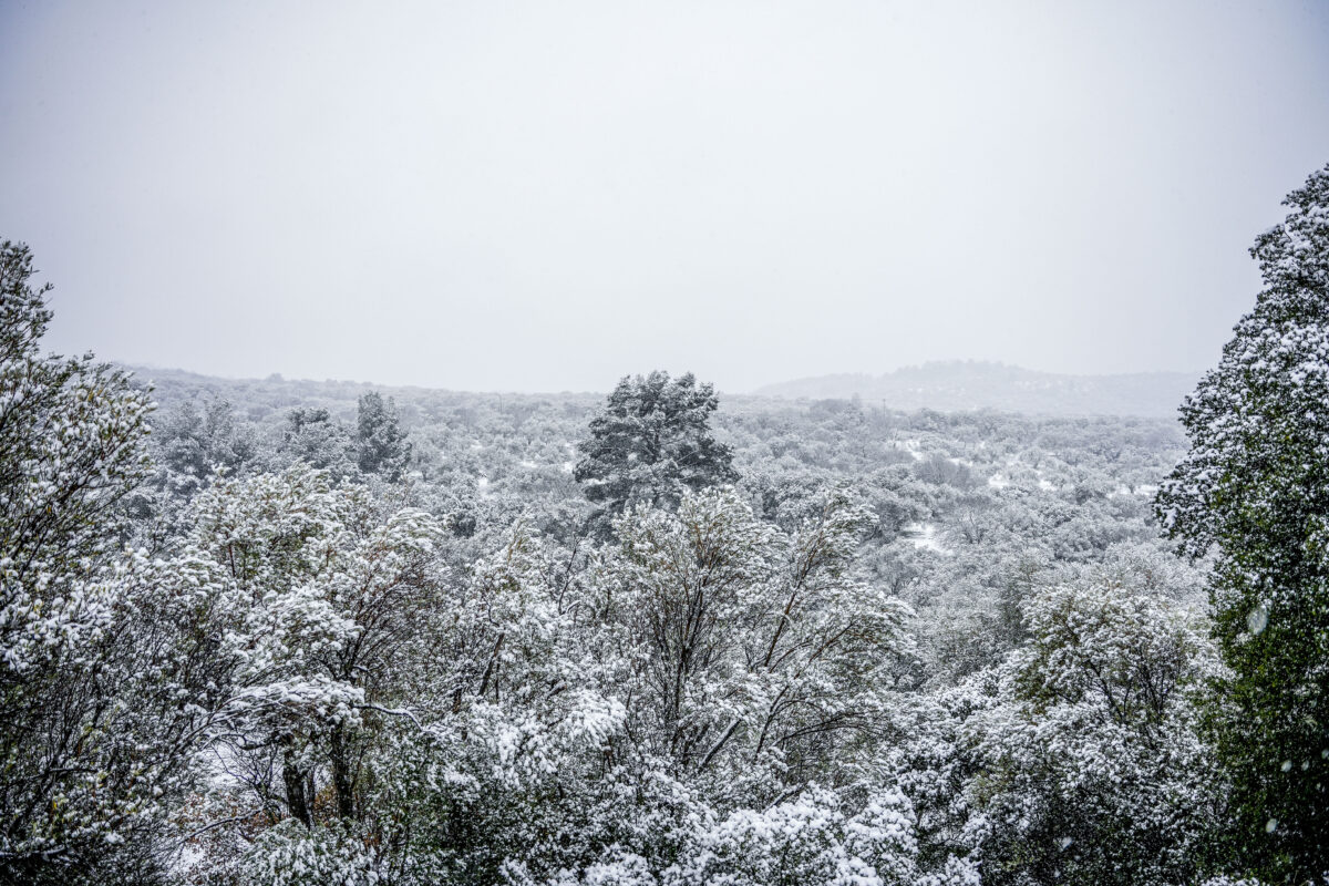 Καιρός: Παγετός, χιονοθύελλες και δυνατοί άνεμοι μέχρι το μεσημέρι της Δευτέρας – Έκτακτη ειδοποίηση για επιδείνωση καιρού