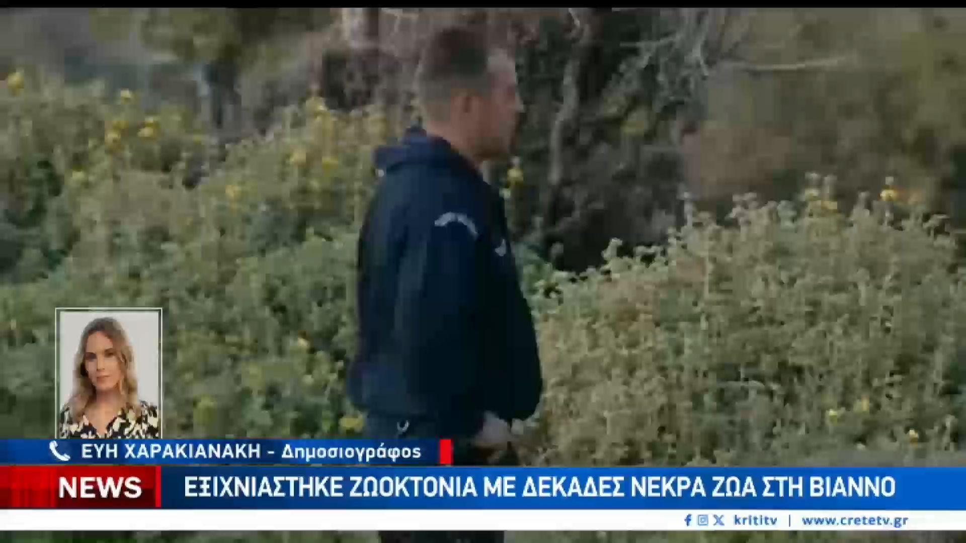 Ζωοκτονία στην Βιάννο.Έσφαξαν 40 πρόβατα