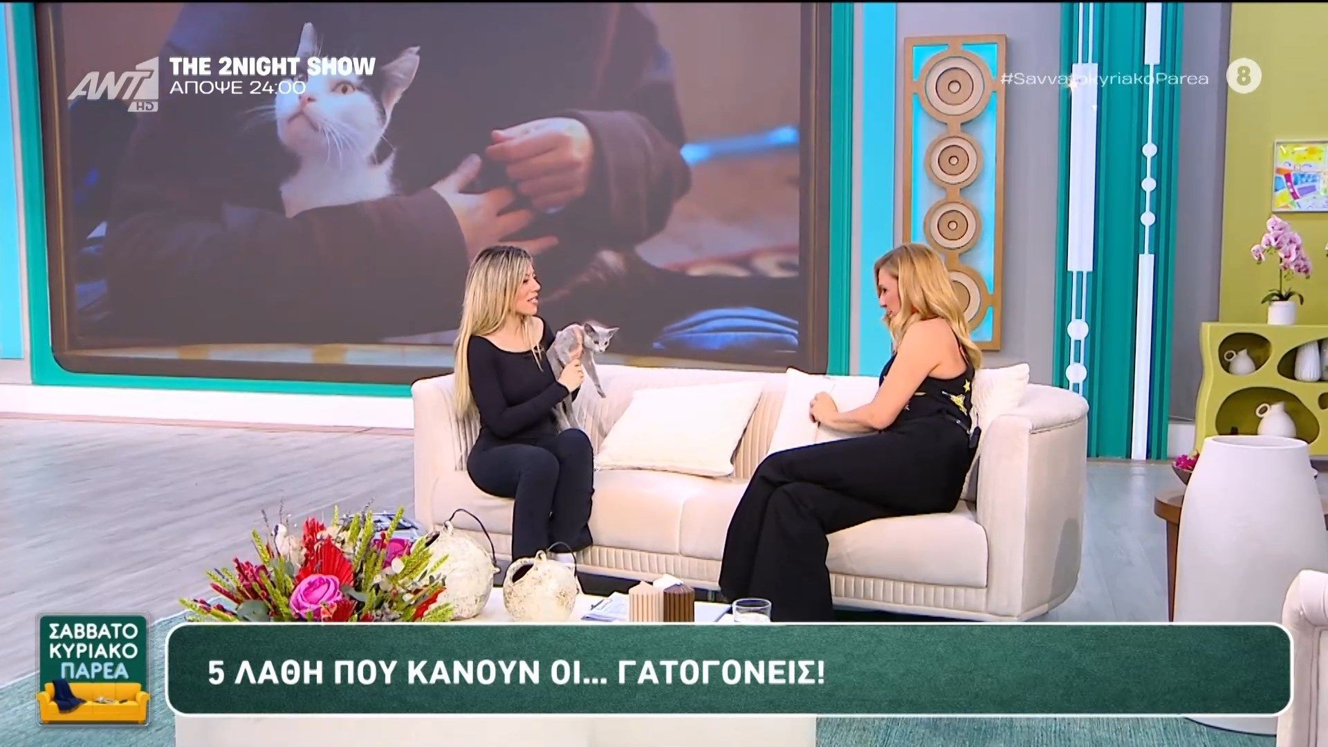 5 λάθη που κάνουν οι… γατογονείς – Σαββατοκύριακο Παρέα – 08/02/2026