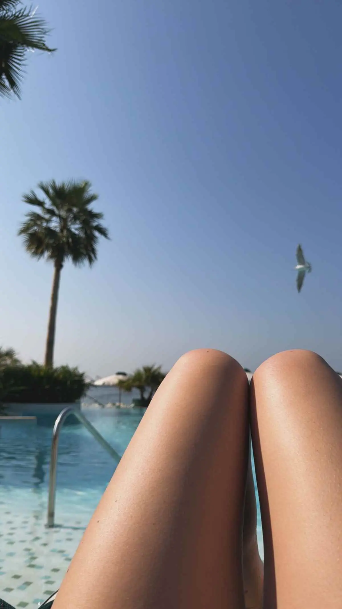 Η Γαρυφαλλιά Καληφώνη στο Ντουμπάι