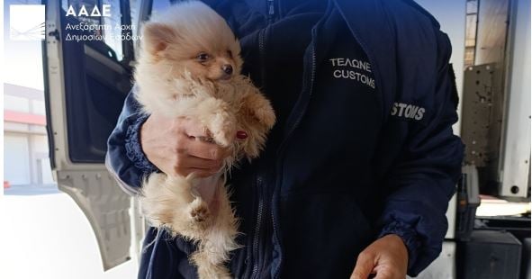 ΑΑΔΕ: Ανακαλύφθηκαν ναρκωτικά, παράνομα τσιγάρα, τουρκικές λίρες και ρούβλια – Εκτεταμένοι έλεγχοι με X-Ray και ανιχνευτικούς σκύλους