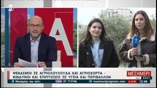 Αφήστε τα αγριολούλουδα μας να ανθίσουν – Όχι άλλους ψεκασμούς