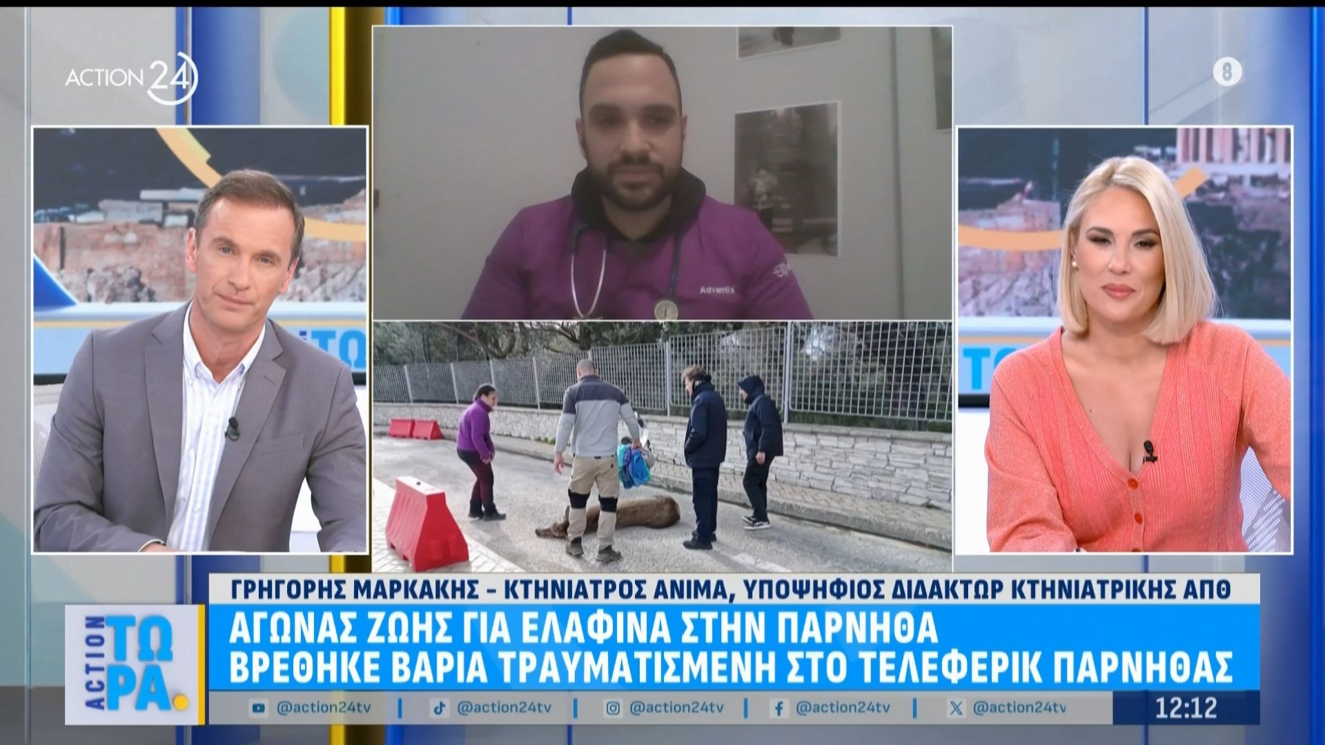 Αγώνας ζωής για ελαφίνα στην Πάρνηθα – ρέθηκε βαριά τραυνατισμένη στο τελεφερίκ Πάρνηθας