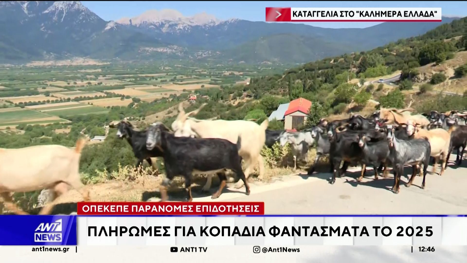 Αίσθηση προκαλούν οι νέες αποκαλύψεις για παράνομες επιδοτήσεις από τον ΟΠΕΚΕΠΕ το 2025