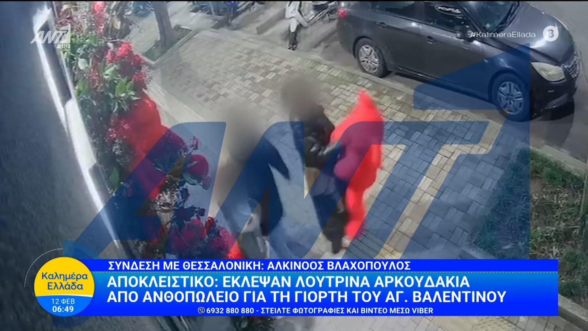 Αποκλειστικό: Έκλεψαν λούτρινα αρκουδάκια από ανθοπωλείο για τη γιορτή του Αγ. Βαλεντίνου – Καλημέρα Ελλάδα – 12/02/2026