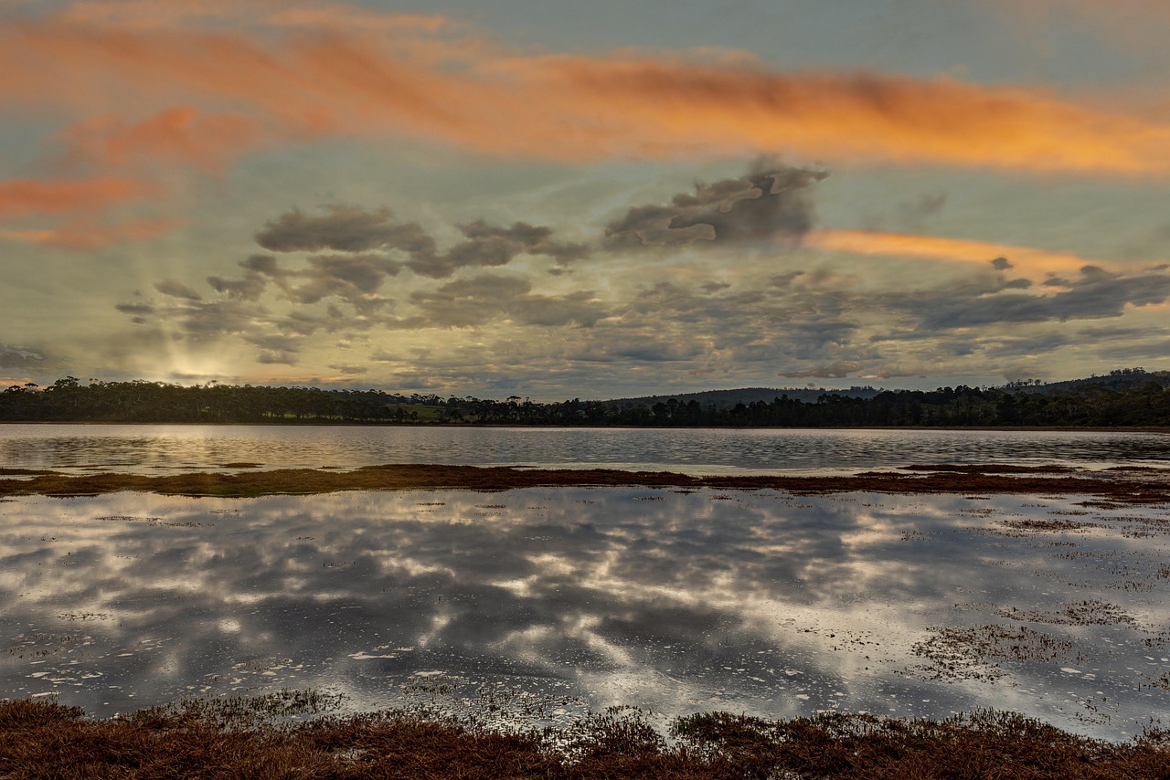 Η Τεχνητή Νοημοσύνη παραπλανούσε τουρίστες οδηγώντας τους σε φανταστικές ιαματικές πηγές στην Τασμανία