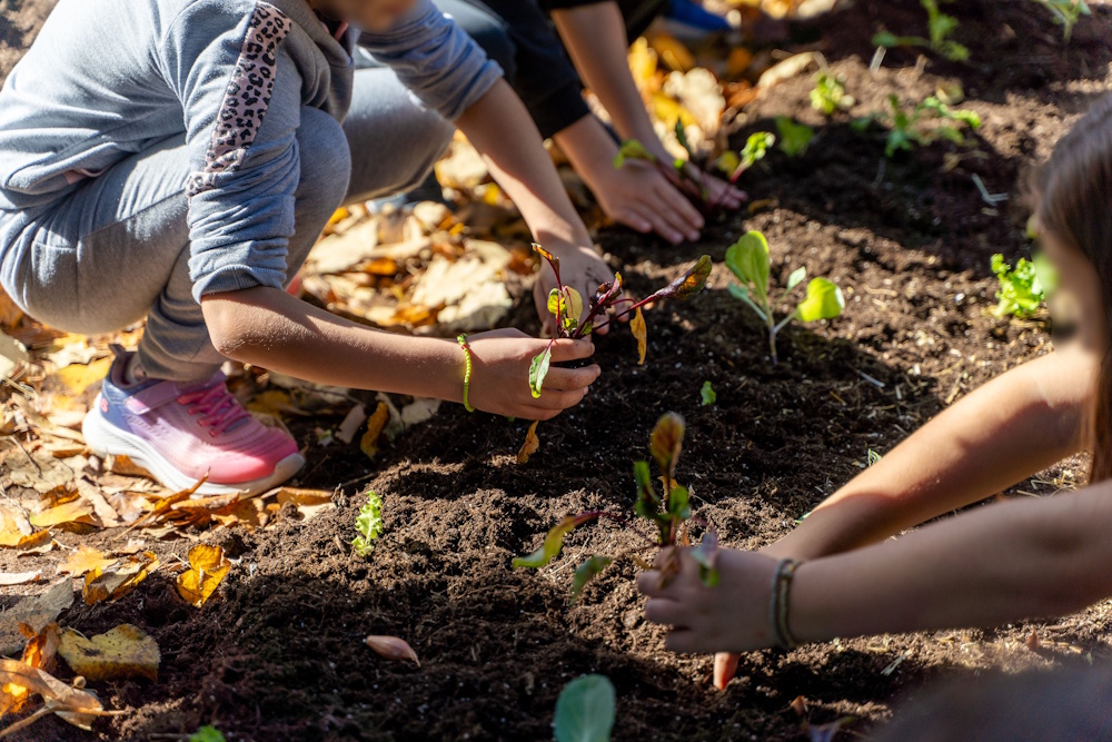 Σχολεία Καλλιέργειας Άνθρακα 2025: ΔΕΗ και Open Farm ενισχύουν τη βιώσιμη γεωργία για μαθητές 6 Σχολεία Καλλιέργειας Άνθρακα 2025: ΔΕΗ και Open Farm ενισχύουν τη βιώσιμη γεωργία για μαθητές