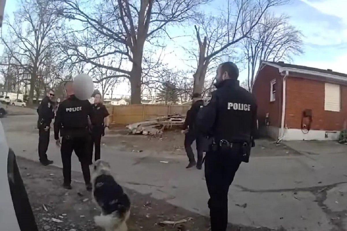 Ήρωας σκύλος καθοδήγησε την αστυνομία σε χαμένο αγοράκι 3 ετών – «Η Λάσι το ανακάλυψε»