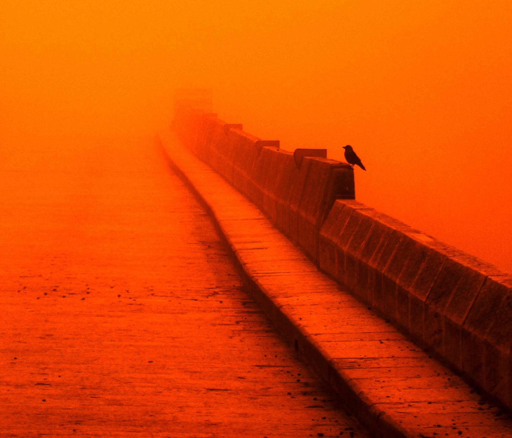 Εντυπωσιακές εικόνες: Σύννεφο σκόνης από την έρημο κάλυψε το Ισραήλ – Καύσωνας προβλέπεται από Δευτέρα