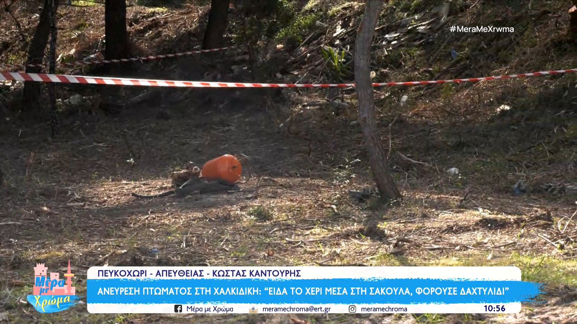 «Είδα ένα χέρι στη σακούλα, φορούσε δαχτυλίδι»: Μαρτυρία για τη σακούλα με τα οστά που εντοπίστηκε στη Χαλκιδική