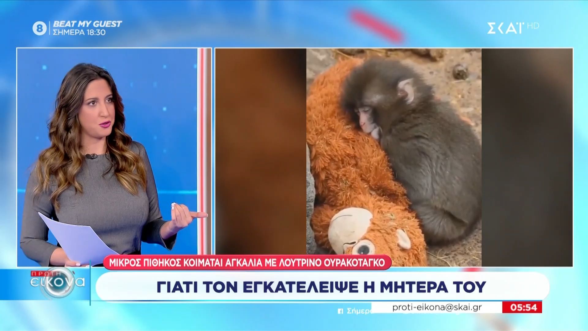 Ένας μικρός πίθηκος αγκαλιά με λούτρινο ουρακοτάγκο