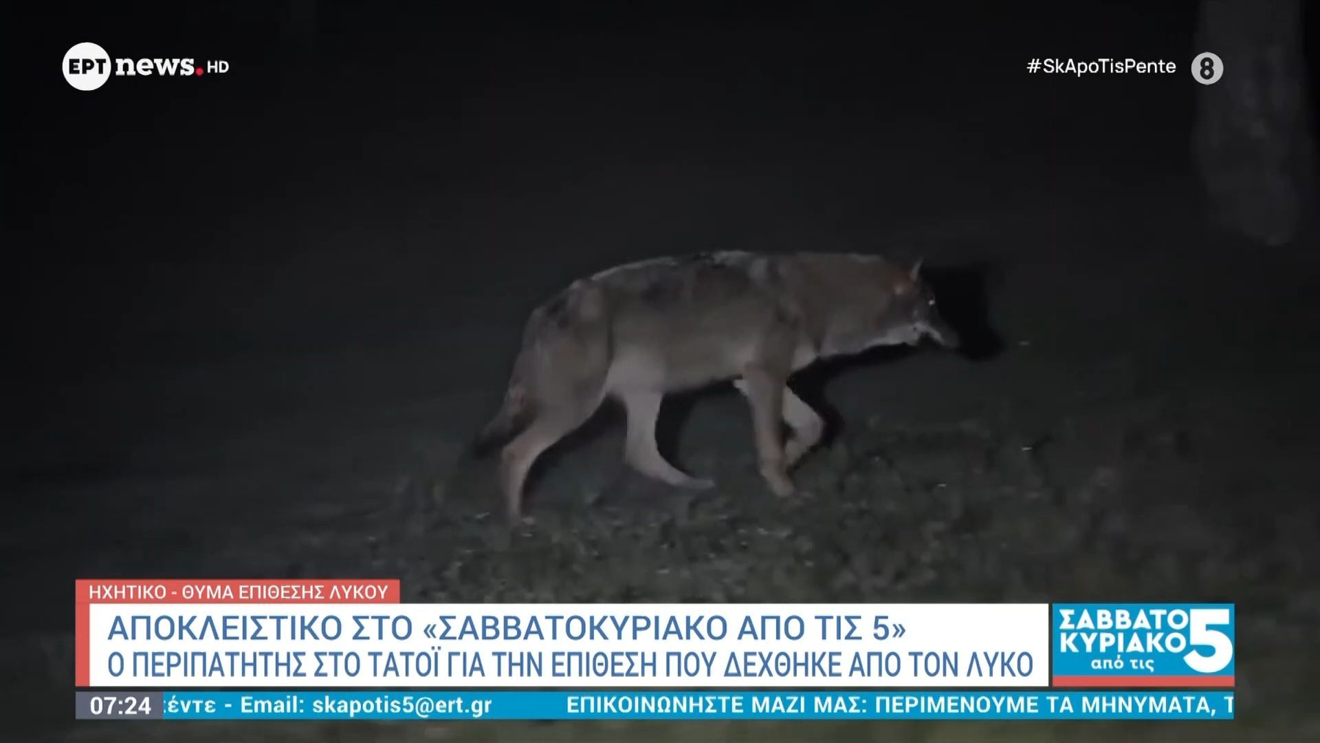 Επίθεση λύκου στην Πάρνηθα: «Ξέφυγα με σκισμένα ρούχα», είπε στο ΕΡΤnews περιπατητής – Οδηγίες του Δήμου Αχαρνών