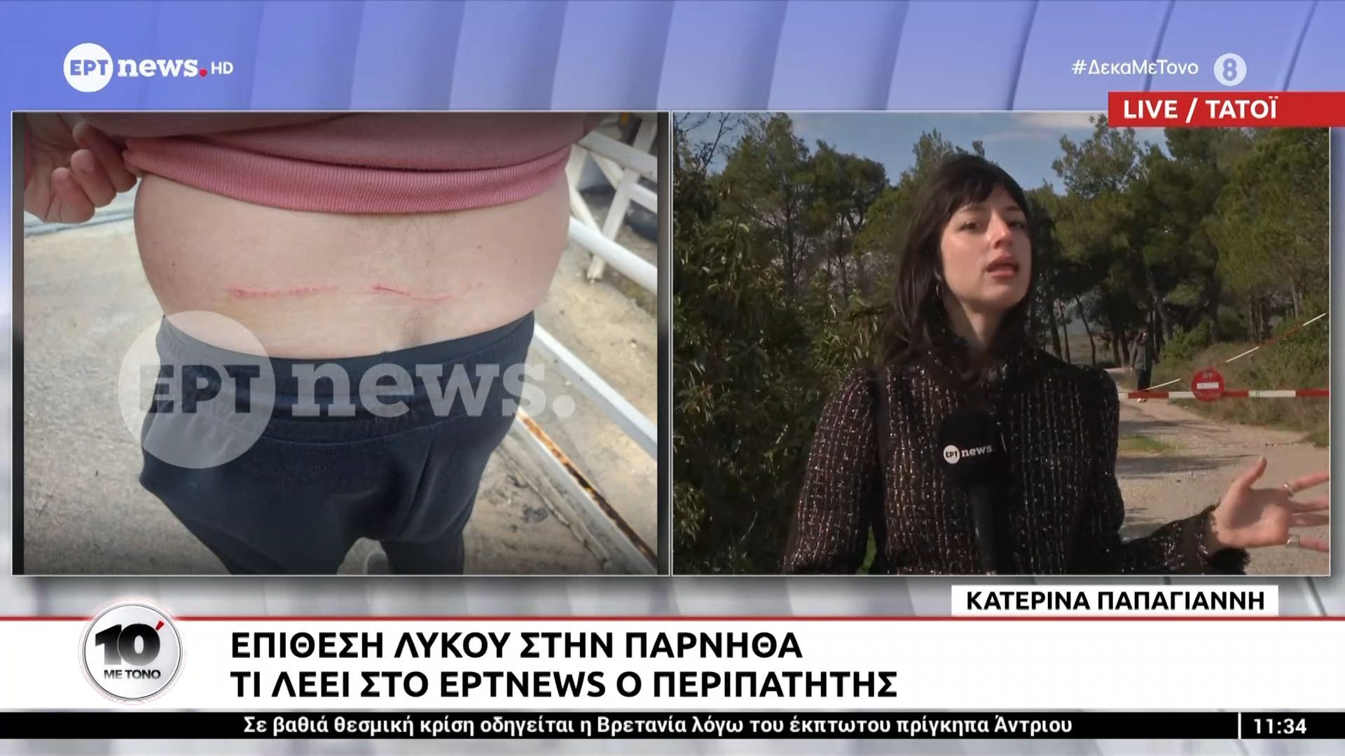 Επίθεση λύκου στην Πάρνηθα: Τι λέει στο ERTnews ο περιπατητής