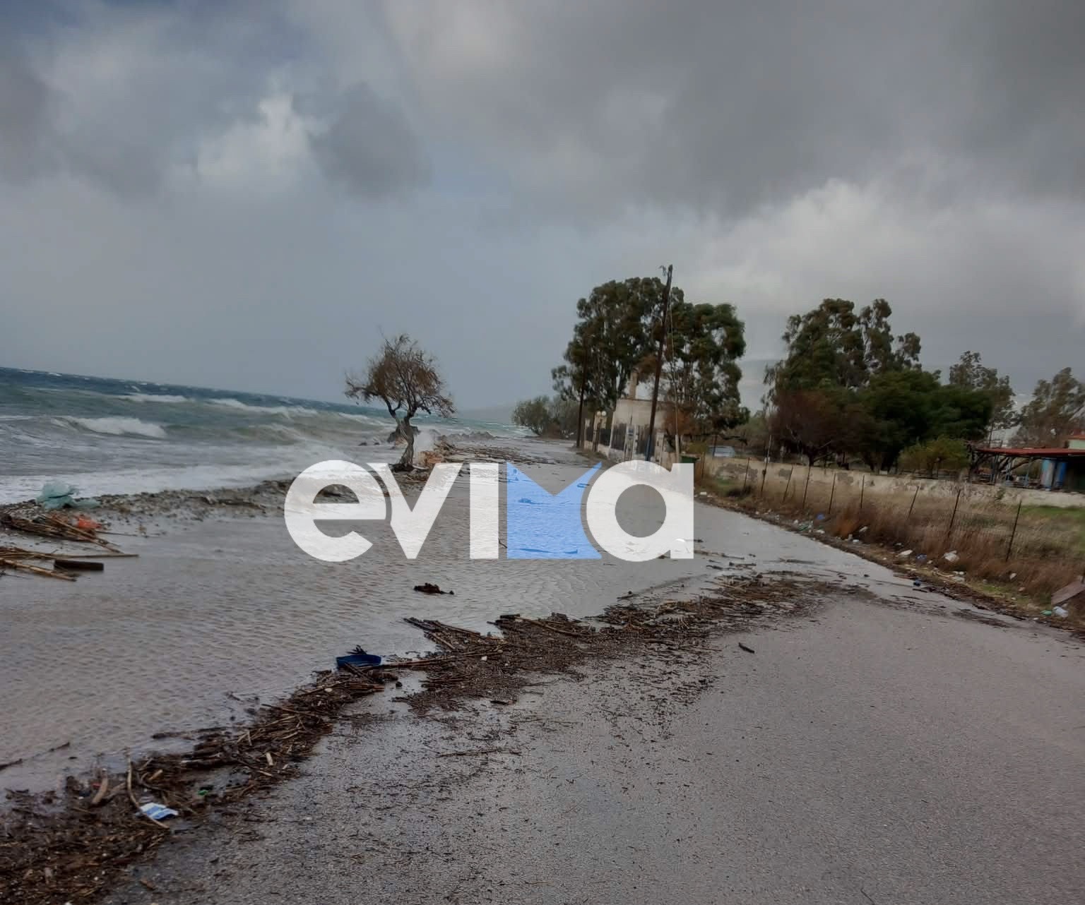 Εύβοια: Χάος από την κακοκαιρία – Δρόμοι πλημμύρισαν, δέντρο ξεριζώθηκε και κατέρρευσε 6 εύβοια