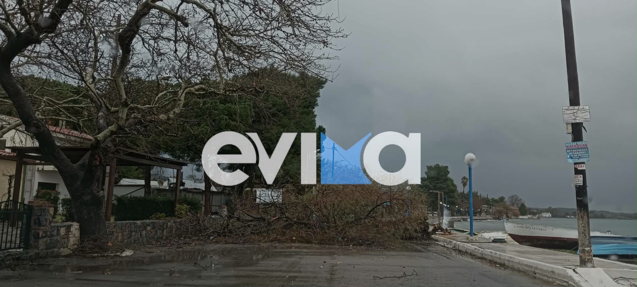 Εύβοια: Χάος από την κακοκαιρία – Δρόμοι πλημμύρισαν, δέντρο ξεριζώθηκε και κατέρρευσε 7 εύβοια