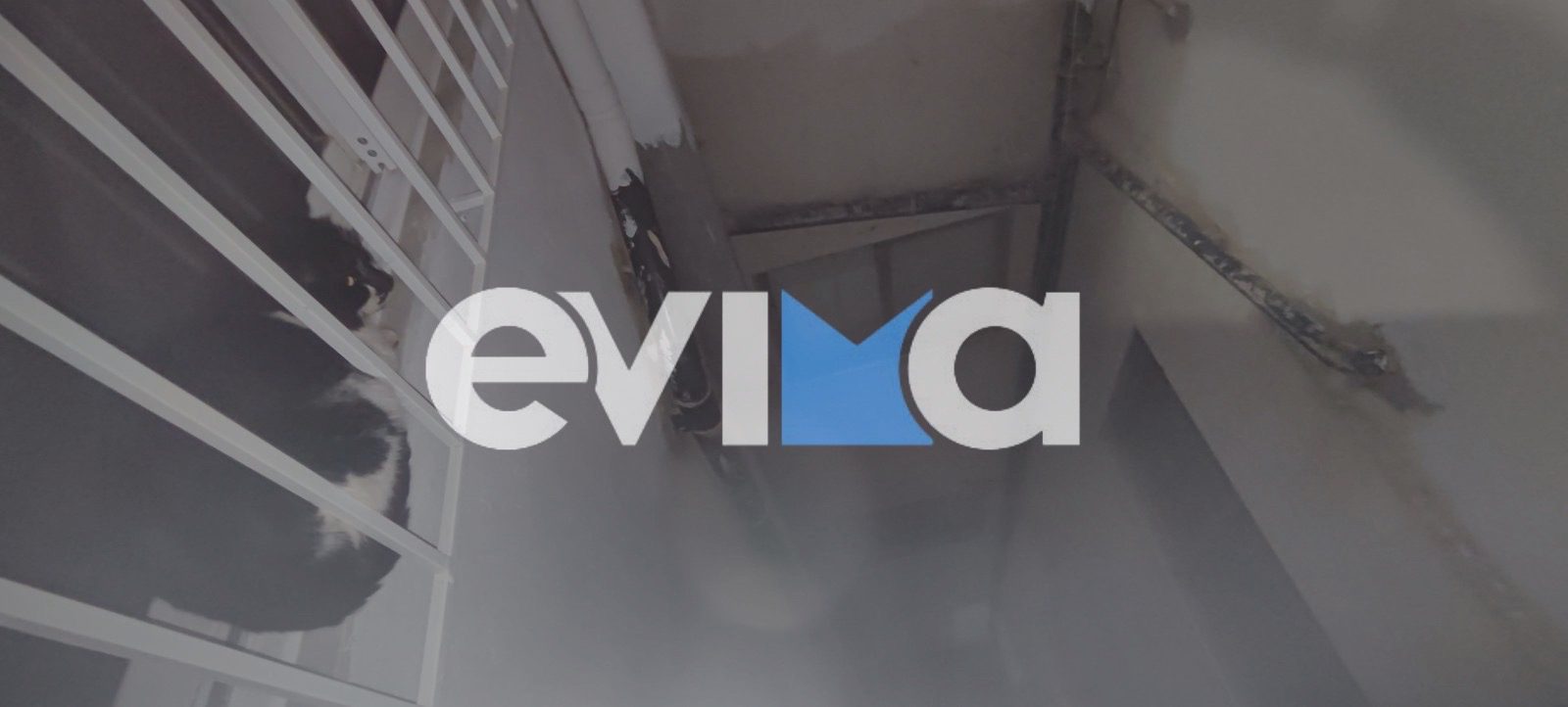 Διάσωση γάτας στην Κάρυστο