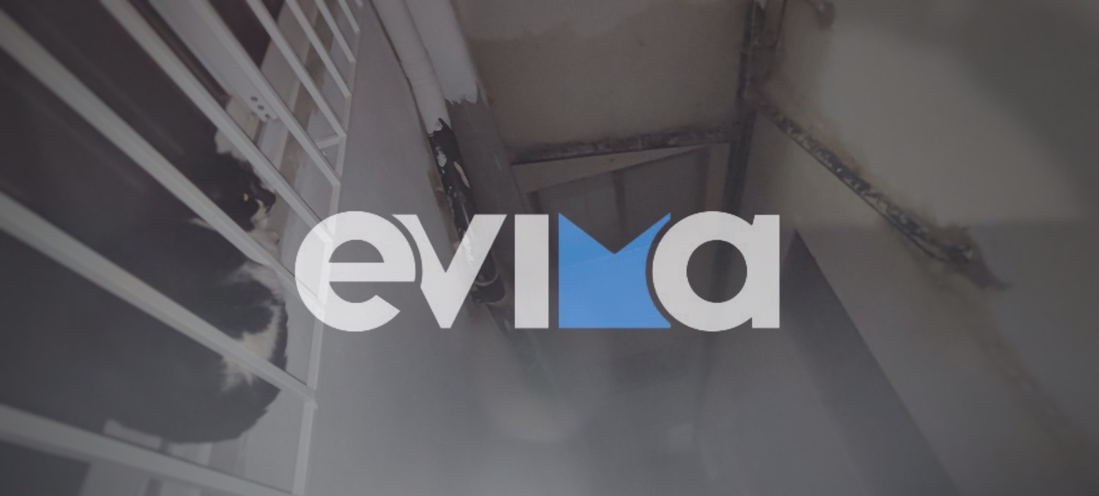 Διάσωση γάτας στην Κάρυστο