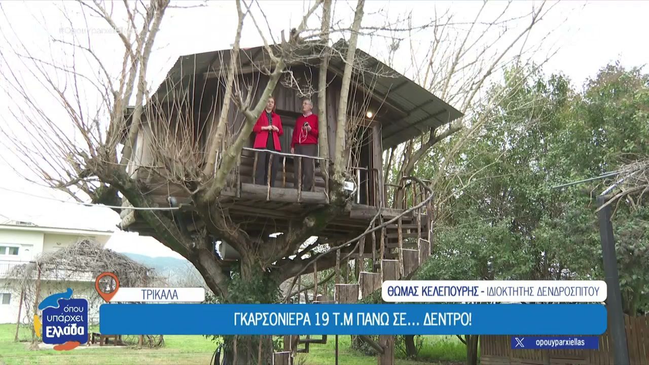 Γκαρσονιέρα 19 τ.μ πάνω σε δέντρο!