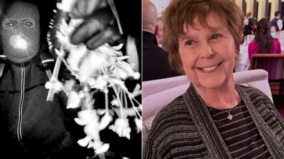 Νάνσι Γκάθρι: Καταιγιστικές εξελίξεις στην απαγωγή της – Απελευθέρωση υπόπτου και νέα βίντεο του FBI «παγώνουν» την Αμερική