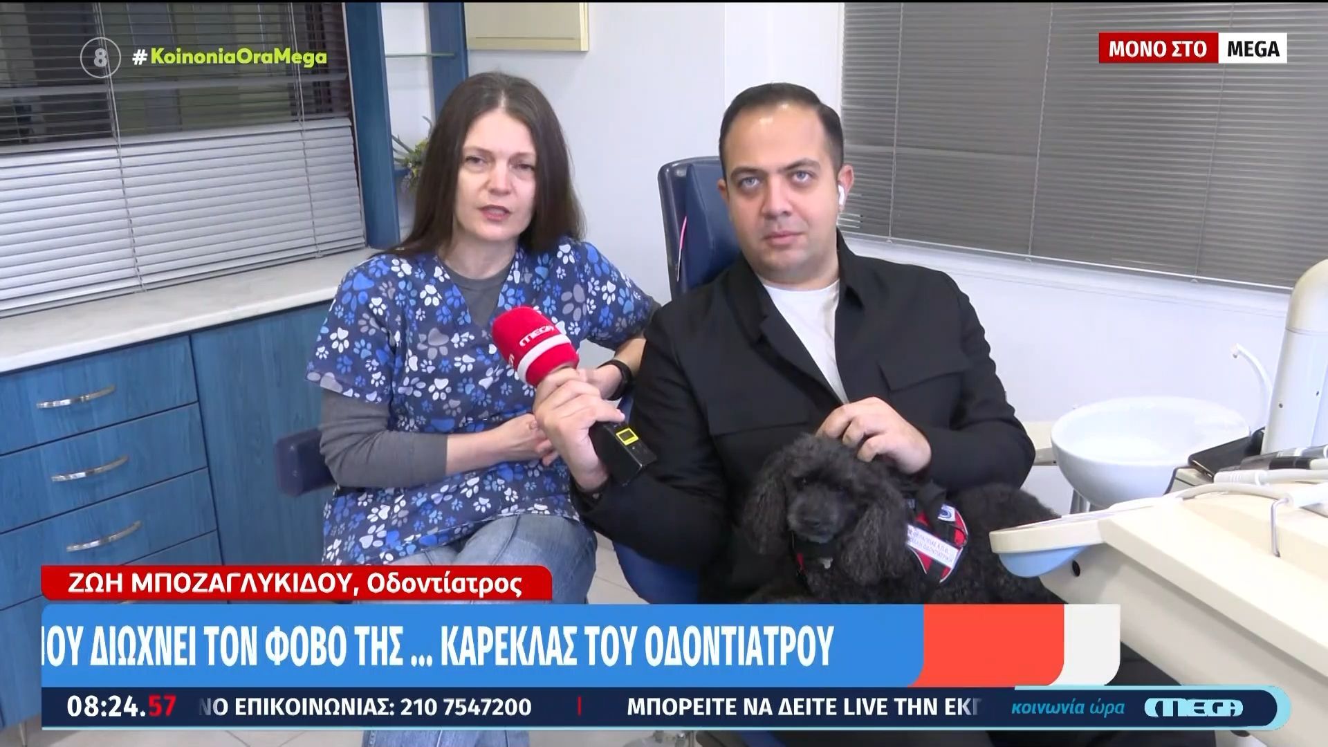 Η Άριελ, ο σκύλος θεραπείας για ασθενείς οδοντιατρίου