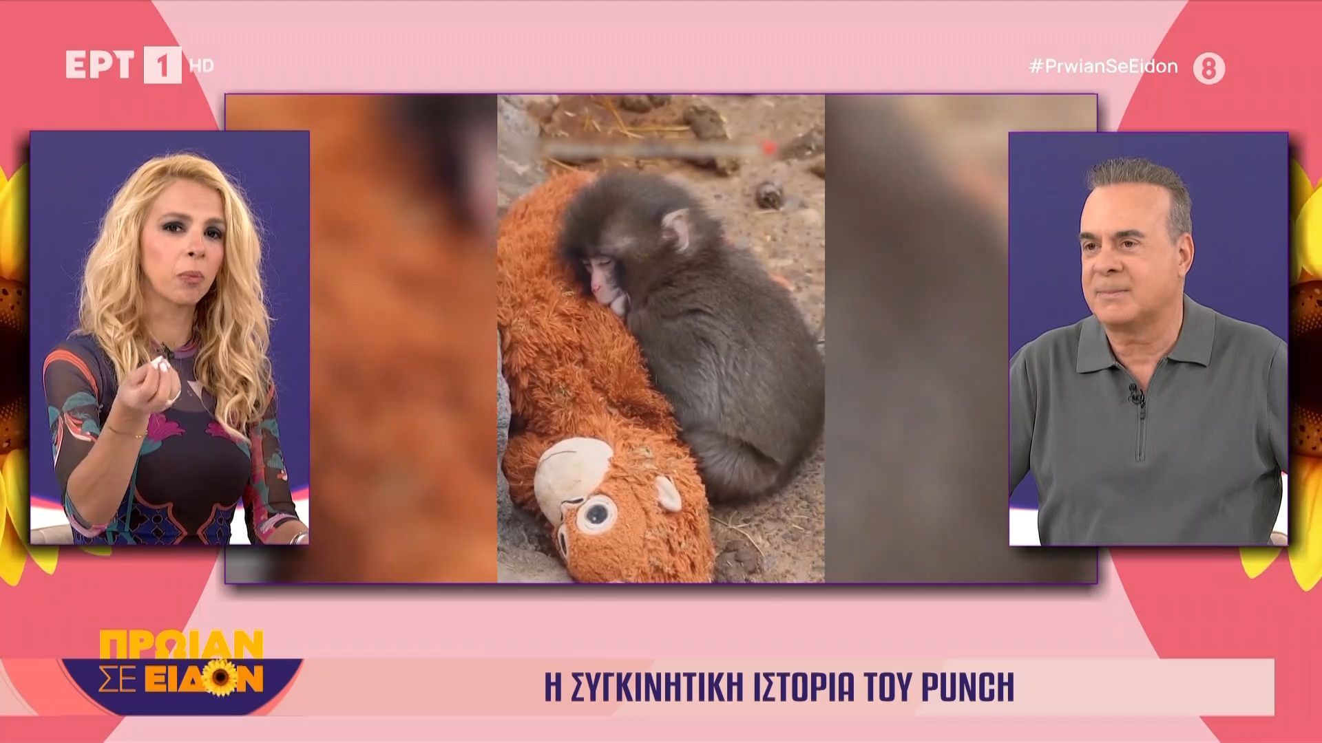 Η συγκινητική ιστορία του Punch
