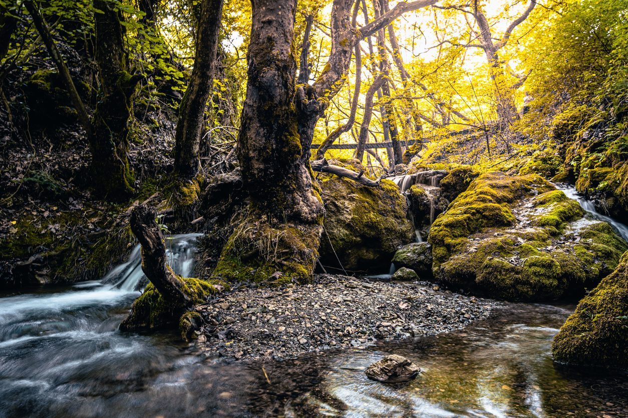 Autumn landscape - river waterfall in colorful forest of Pavliani Greece with yellow green leaves