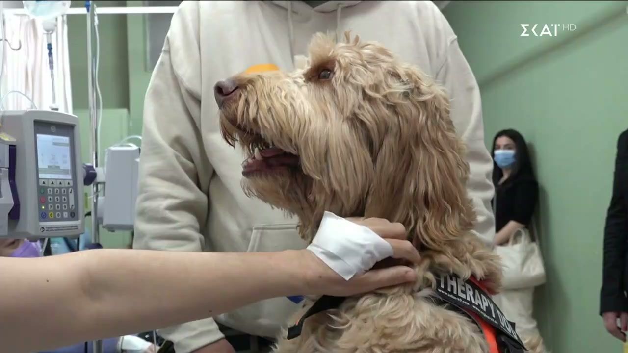 Καλά Νέα | 11/02/2026