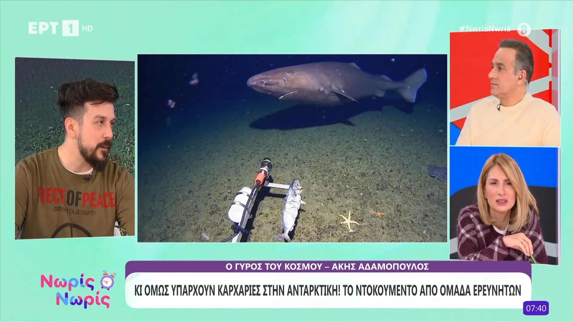 Κι όμως υπάρχουν καρχαρίες στην Ανταρκτική! Το ντοκουμέντο από ομάδα ερευνητών