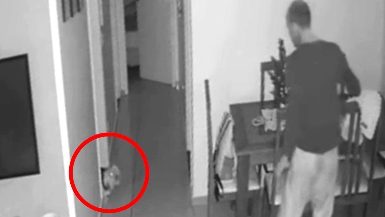 Κλέφτης για κλάματα το βάζει στα πόδια μετά από το… τρομακτικό γάβγισμα ενός γιόρκι!