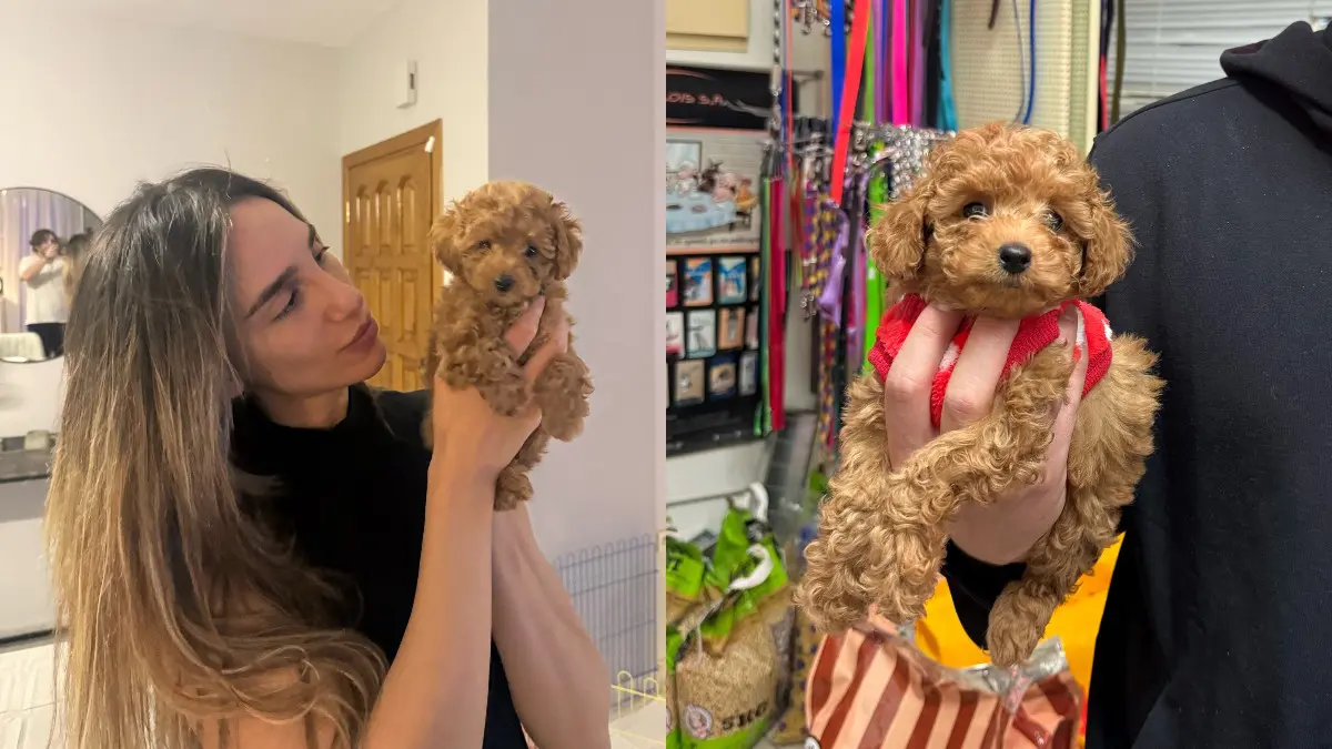 Καλαϊτζής Ιωάννης: Ποιος είναι ο νέος σύντροφος της Έλενας Κώνστα - Με τι ασχολείται