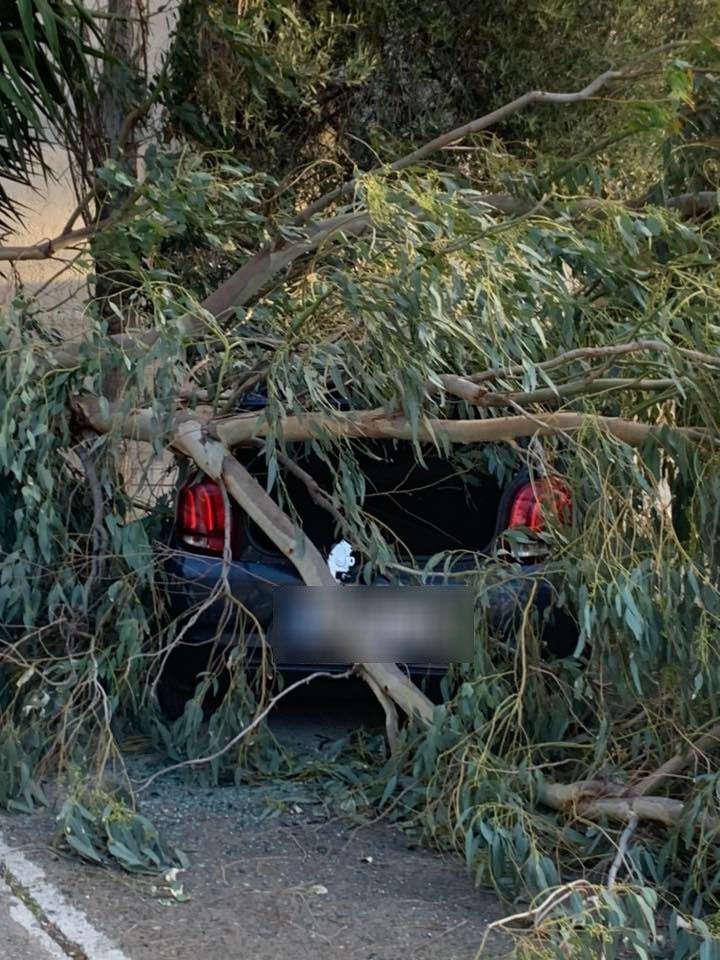 Η κακοκαιρία πλήττει τη χώρα: Καταρρεύσεις δέντρων στη Θεσσαλονίκη, υπερχειλίσεις ποταμών στην Ήπειρο – Πλημμύρες στην Πάρο 24 Η κακοκαιρία πλήττει τη χώρα: Καταρρεύσεις δέντρων στη Θεσσαλονίκη, υπερχειλίσεις ποταμών στην Ήπειρο – Πλημμύρες στην Πάρο