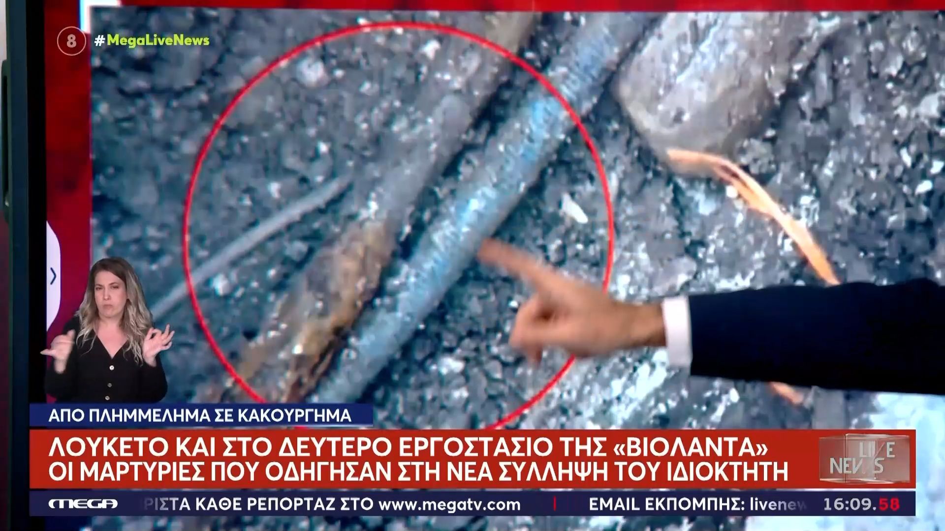 Λουκέτο και στο δεύτερο εργοστάσιο της «Βιολάντα» – Οι μαρτυρίες που οδήγησαν στη νέα σύλληψη του ιδιοκτήτη