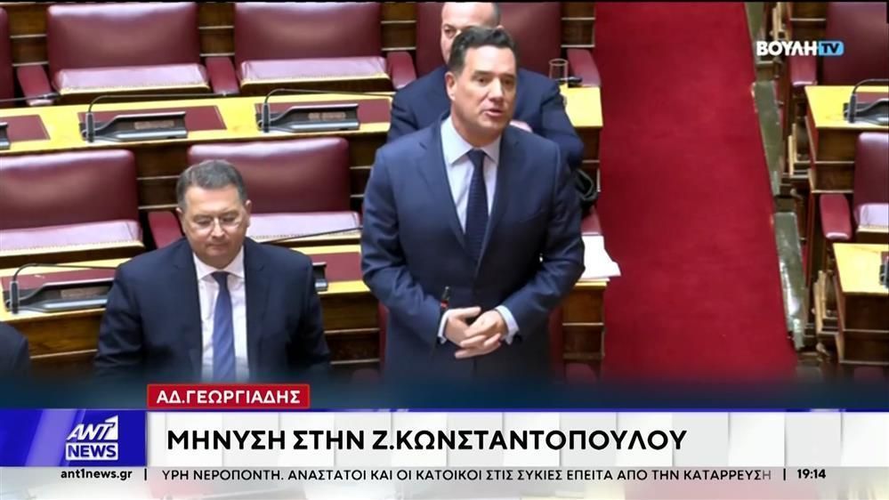 Μήνυση στην Ζωή Κωνσταντοπούλου κατέθεσε σήμερα ο Άδωνις Γεωργιάδης