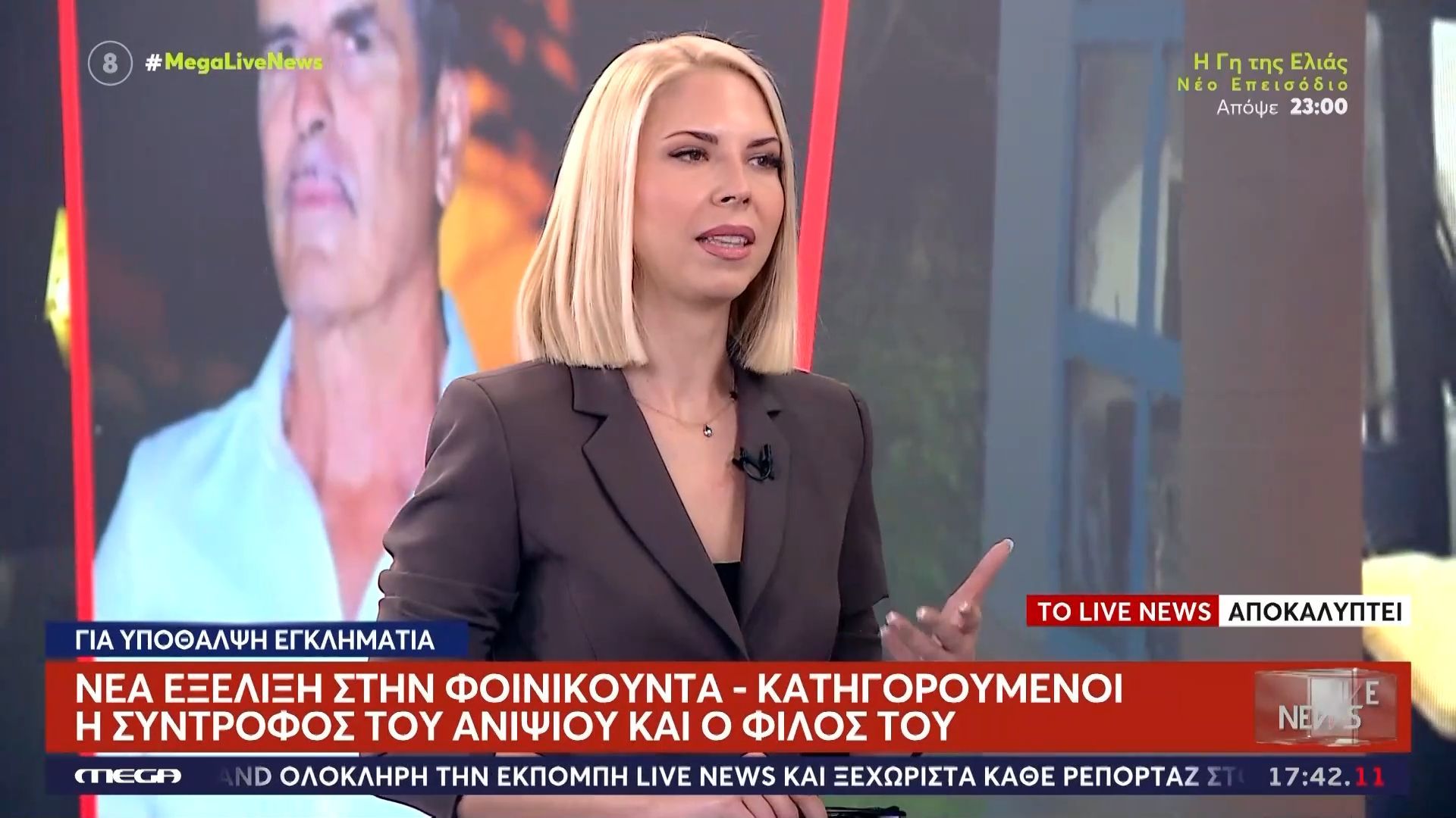 Νέα εξελίξη στην υπόθεση της Φοινικούντας: Κατηγορούμενοι η σύντροφος του ανιψιού και ο φίλος του για υπόθαλψη εγκληματία